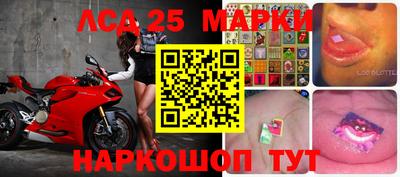 гашик Тара