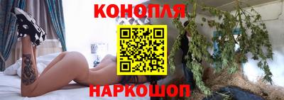 гашик Тара