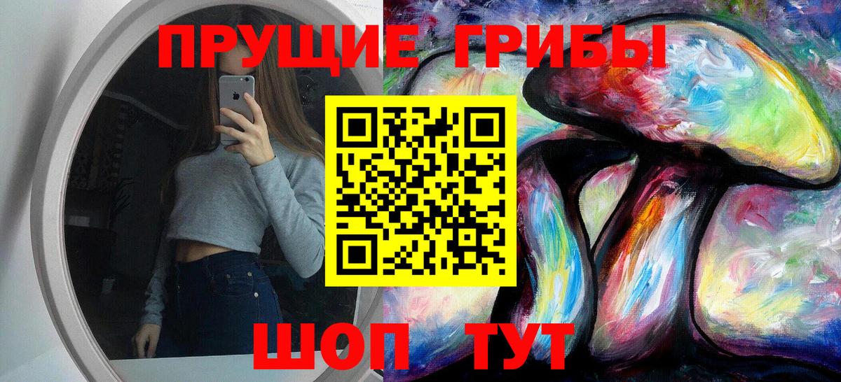 Галлюциногенные грибы Cubensis Нефтекумск