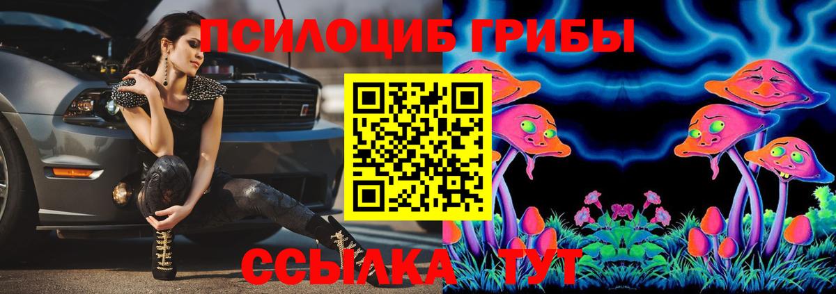 Галлюциногенные грибы Psilocybe  Псилоцибиновые грибы Psilocybe  Нефтекумск  Вход с VPN 